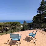 Bouganvilla *